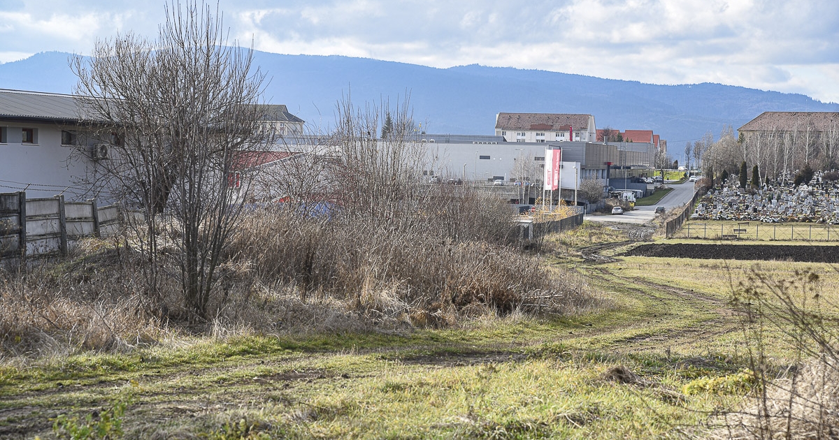 Aszfalt és víz – nem vegyülő elegyek